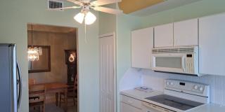 15037 Tamarind Cay Court Gallery 4