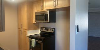 The Pines Apartments Gallery 1