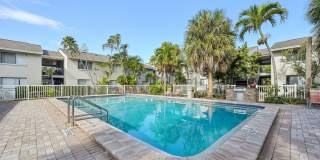 Sarasota South Gallery 33