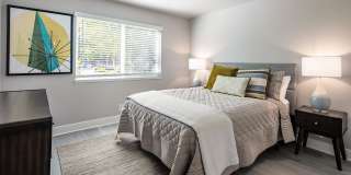 CitySouth Gallery 12