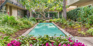 West Park Village Gallery 16