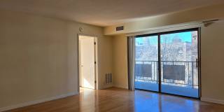 Coolidge Corner, Prime location!  West facing bright condo w/Garage Parking Available 9/1! Walk to Longwood! Gallery 10