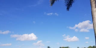 11165 Southwest 6th Street 11165 Southwest 6th Street Gallery 1