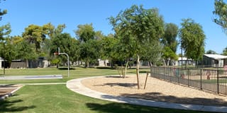 Park Shadows Gallery 15
