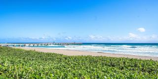 3000 S Ocean Boulevard Gallery 28