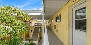 Dolphin Beach Gallery 2
