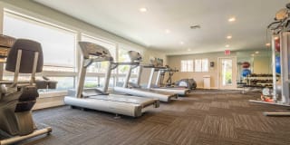 Creekside Gallery 24