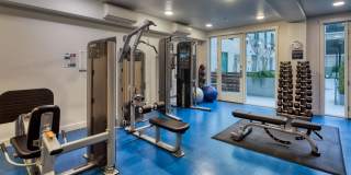 Eviva Midtown Gallery 14