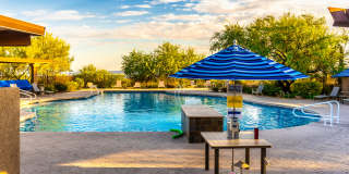 13655 North Gold Cholla Place Gallery 24