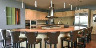 True Gem Located in Fireside at Desert Ridge!!!  Fully Furnished, close to Mayo North campus!!!  Community Pool, Fitness, Club House of Desert Ridge!!!  Upgraded, large lot, Ready for you!!! Gallery 87