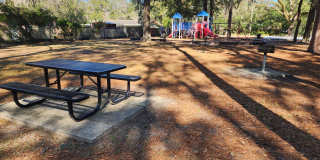 Charming 3/1 House Gallery 20