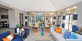 Maynard of Augusta Gallery 24