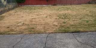 Cozy Parkland 2 bedroom house with Fenced Yard Gallery 10
