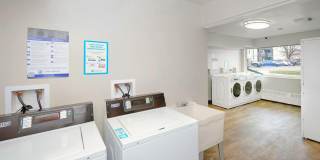 Ascent at Havana Gallery 13