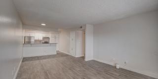 Portola North Phoenix Gallery 15