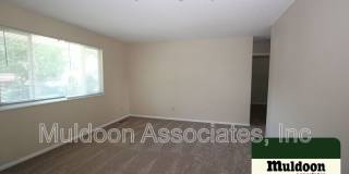 3225 Whimsical Pl Gallery 4