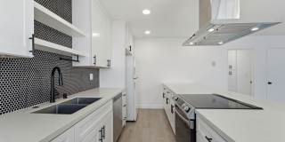 1009 N. Edinburgh Ave Gallery 7