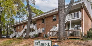 Shamrock Gallery 13