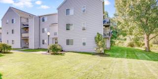 The Meadows Gallery 41