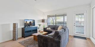 1101 Hollow Creek Drive Gallery 14