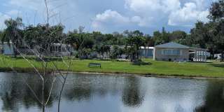 71 W Caribbean Gallery 15