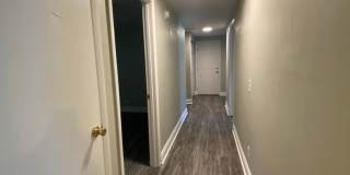 Walk to UF & Downtown! Gallery 11