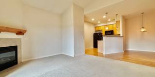 Beautiful 2 Bed 1 Bath Haven in Central Fort Collins! Gallery 1