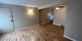 145 Chestnut Street Gallery 1