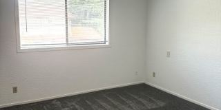 3682-3698 47TH AVE NE Gallery 7