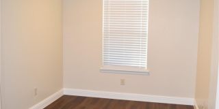 411 Paddock Lane Gallery 4