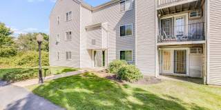 The Meadows Gallery 39