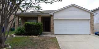 15746 Cotton Tail Gallery 1