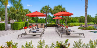 Maitland Pointe Apartments Gallery 33
