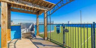 Domain at Kirby Gallery 44