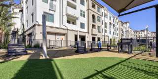 Vineyards Gallery 106