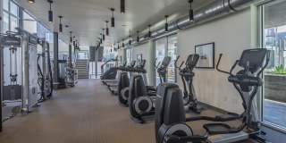 Aliso Gallery 15