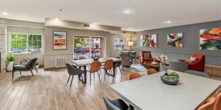 Zen Chaska Zen Chaska Gallery 38