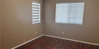 15177 Dandelion Gallery 14