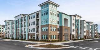 Hawthorne at the Mill Gallery 58