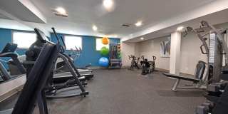 The Reserve at Lindsay Gallery 24