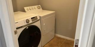 7020 Albatross Attic Street Gallery 65