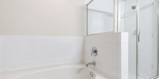 The Slade at Channelside Gallery 16