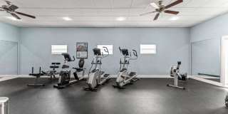 Sea Oats Sea Oats Gallery 59