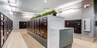 Windsor North + Vine Gallery 36