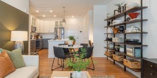 Hawthorne at Holly Springs Gallery 37