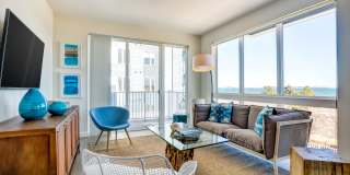 Ocean 650 Gallery 11