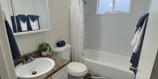 Mt. Pleasant Gallery 14