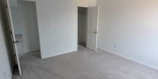 2874 Red Diamond Gallery 1