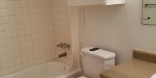 Forest Ridge Gallery 131