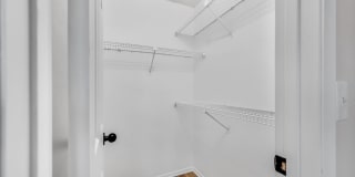 Renovated Apartment in the Heart of Carollwood Gallery 20